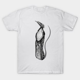 Botanical Carnivorous Plant Drawing Nepenthes hamata Pitcher T-Shirt